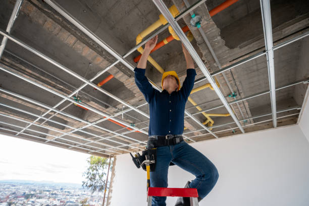 Best Best Plumbers Near Me  in Indian Head, MD